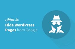 Hiding a WordPress post or page from Google