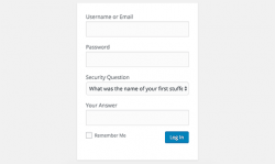 فرم ورود وب سایت همراه با سوال امنیتی